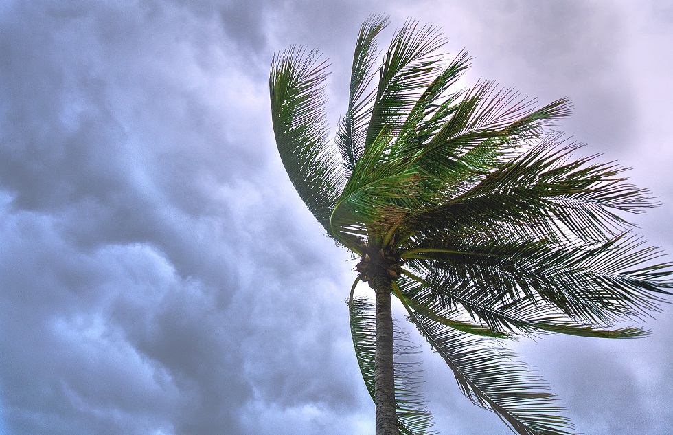 Do Florida Residents Need Flood Insurance