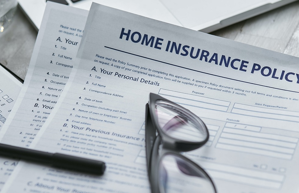 Insurance Policy Basics: What You Need To Know