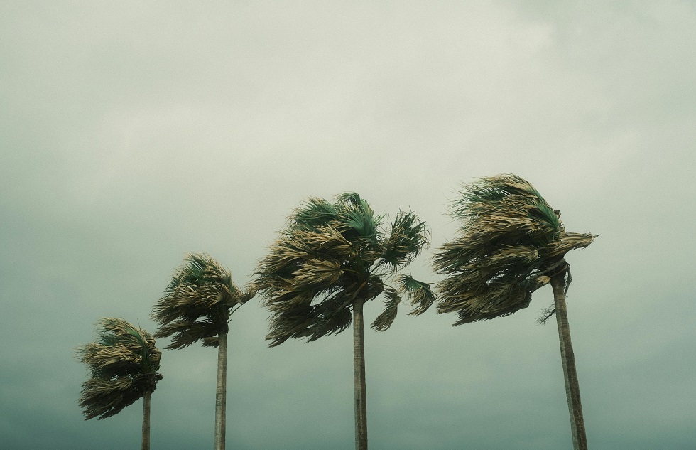 What Does Hurricane Insurance Cover in Florida?